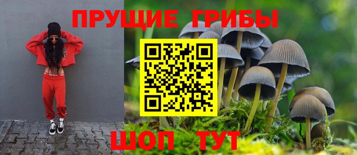 Галлюциногенные грибы Magic Shrooms Ханты-Мансийск